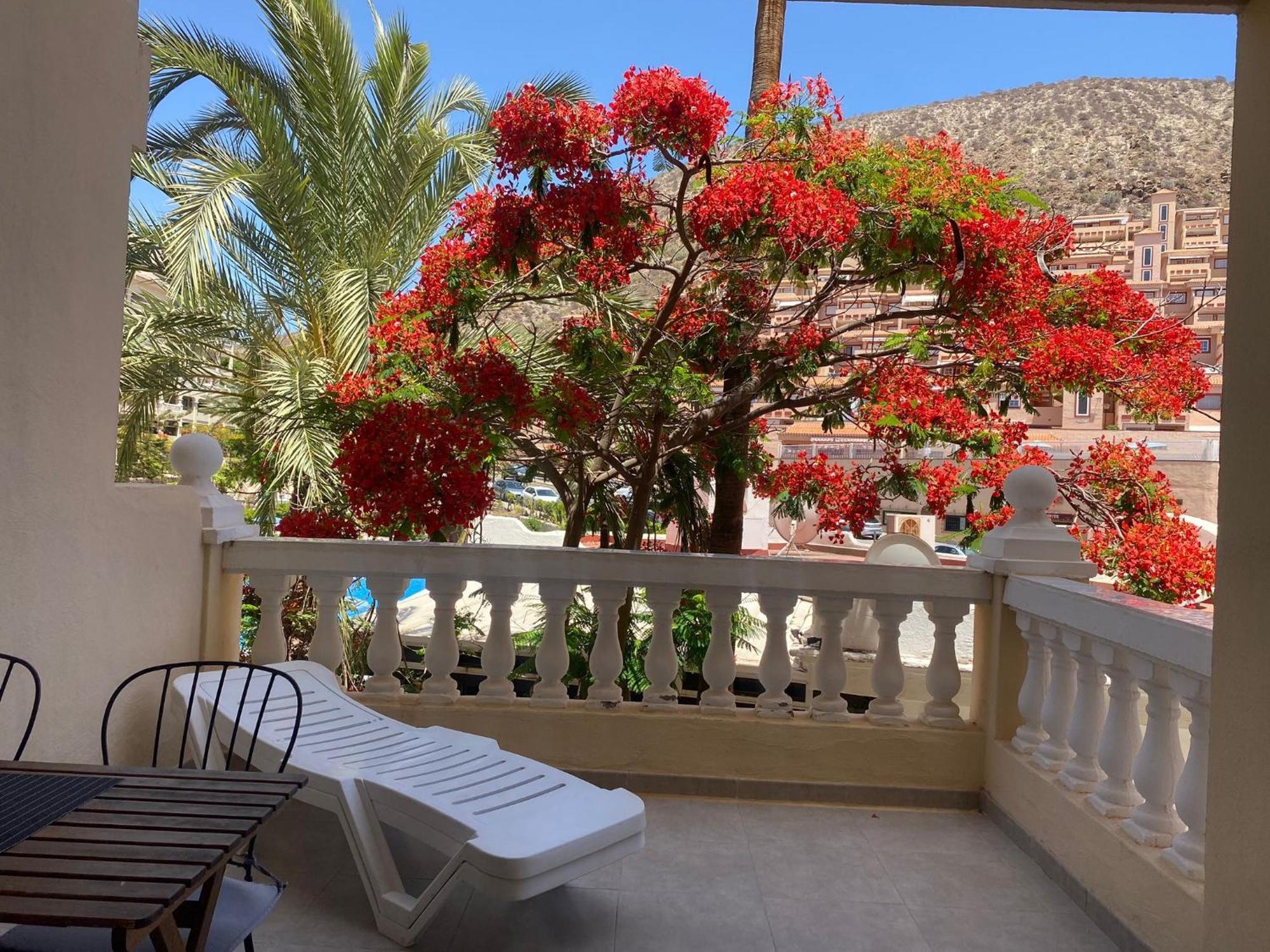 Castle Harbour Samuel'S Studio Flat By Lovetenerife Los Cristianos (Tenerife) Exterior foto
